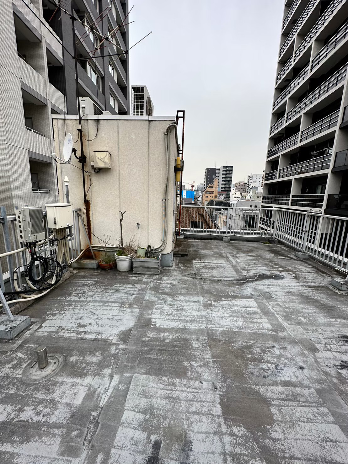 Before画像